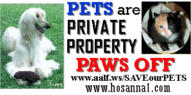 link to Save Our Pets