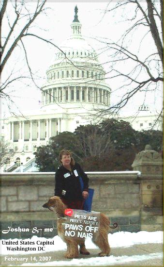 Lynda Farley with Joshua, an Afghan Hound, with United States Capitol building in the background - Washington DC, on Valentine's Day, February 14, 2007